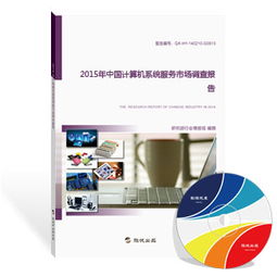 2015年中國計(jì)算機(jī)系統(tǒng)服務(wù)市場調(diào)查報(bào)告